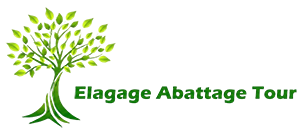 elagueur-elagage-abattage-tour